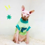 Весенний летний милый динозавр, базовая футболка, новая коллекция