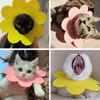 Кошка красота солнце цветок рта водяное полотенце не мешает облизывать кошачий круг Pet милый Элизабет Круг Круг Четырех -водяной карман