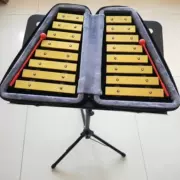 钟 nhạc cụ trẻ em mẫu giáo hai hàng đàn piano bằng nhôm 16 tông màu marimbachen Bộ gõ Orff - Nhạc cụ phương Tây