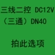 Демон зеленый два -контрол 12V D40