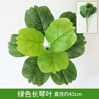 Кремовый, белый, зеленый