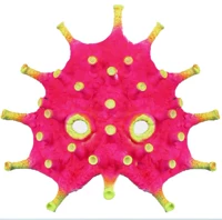 Флуоресцентная роза красная