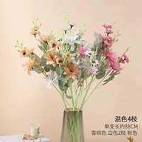 Dali Flower Champagne 2 White 2 Pink и 1 ветка