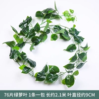 76 листья зеленых листьев разливов 1 упаковка [1 наряд]