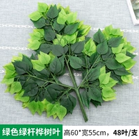 1 ветвь зеленой березы