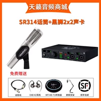 SR314+Black Lion 2x2 Звуковая карта