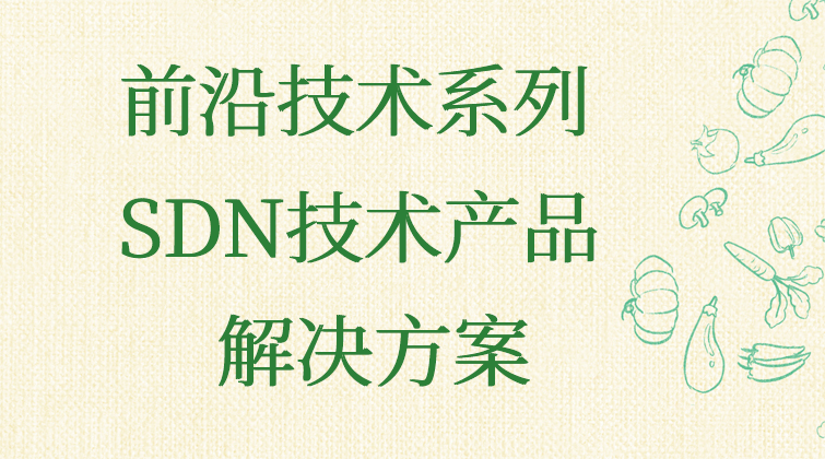 haima aotuo malala fuer aoer WAN IPCA NFV SDN视频课程