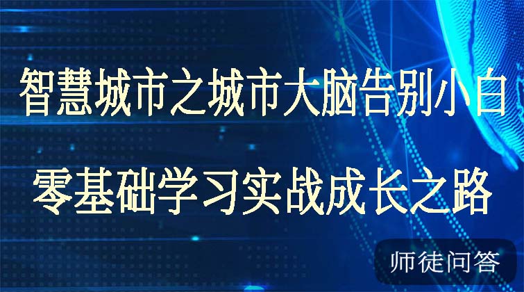 智慧城市之城市大脑，零基础学习实战成长之路(师徒问答)  