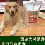 Chó Manlu thức ăn 5 kg dưới 10 tháng tất cả các giống chó thức ăn cho chó da nói chung - Gói Singular royal canin kitten