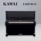 [Живые специальные предпочтения] Оригинальный импорт Японии Kawai Kawi BL12 Младший экзамен на изучение второго фортепиано