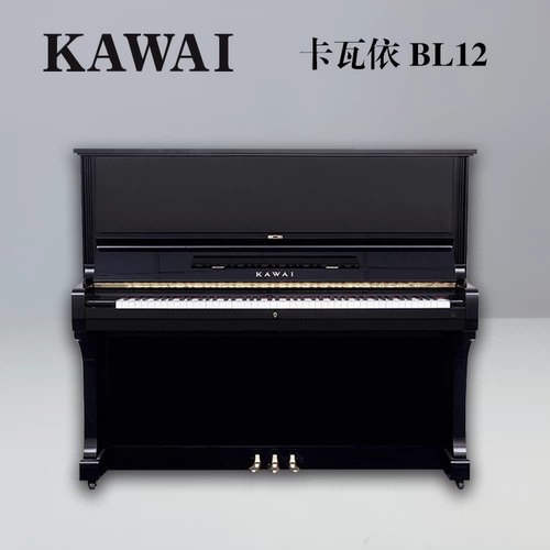 [Живые специальные предпочтения] Оригинальный импорт Японии Kawai Kawi BL12 Младший экзамен на изучение второго фортепиано