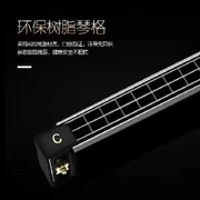 Gió tây giới thiệu nhạc cụ hòa tấu tháp 24 lỗ chromatic Harmonica monophonic c giai điệu hòa âm sinh viên phí