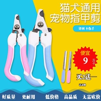 Pet nail kéo dog cat thép không gỉ cắt móng tay vẻ đẹp sạch nguồn cung cấp cắt móng tay pet nail set 	găng tay chải lông chó mèo	