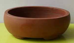 Культурная революция овальный луче