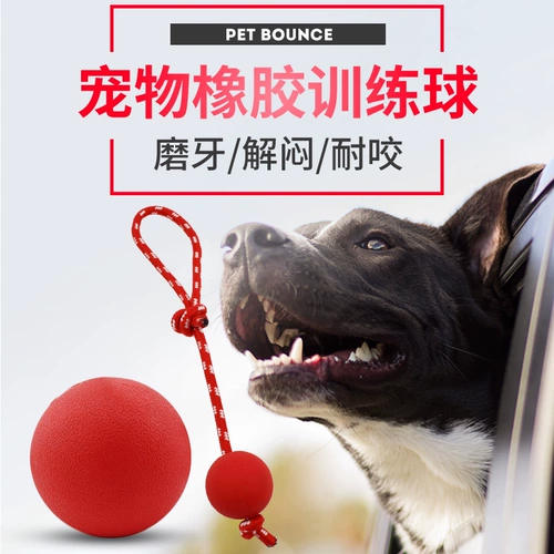 Собачья игрушка-укусочная резиновая резиновая сплошная средняя большая большая собака