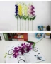 Mô phỏng của Yang Lan Trang trí nhà Hoa Phong lan Phòng khách Trang trí phòng ngủ Trong nhà Hoa sắp xếp Vườn hoa - Hoa nhân tạo / Cây / Trái cây lan giả