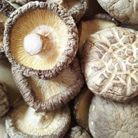 Сян Лао Лао Новые грузовые грибы Shiitake Mushrooms Dry Cargo Farmer's Self -Made Home Используйте маленькие грибы с грибами грибов шиитаке.