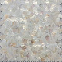 Гексагона натуральная раковина мозаичная плитка плотная фоновая стена крыльца европейская гостиная в ванной комнате головолом