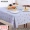 Khăn trải bàn dùng một lần chống thấm dầu chống nóng Bắc Âu PVC lưới khăn trải bàn màu đỏ ins tâm bàn cà phê bàn ​​hình chữ nhật vải cô gái của - Khăn trải bàn