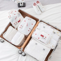 Рэгдолл кот