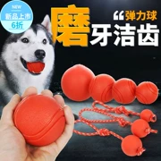 Pet mol mol đồ chơi cắn cắn trong chó lớn đào tạo chó cung cấp mèo đồ chơi con chó len bóng mol - Mèo / Chó Đồ chơi