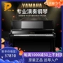Nhật Bản nhập khẩu đàn piano Yamaha cũ UX10A UX30A chuyên chơi đàn gạo từ cao cấp trở lại - dương cầm piano a