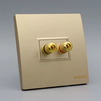 Канджино шампанское золотое тип 86 Аудио -панель двойной головы 2 отверстия