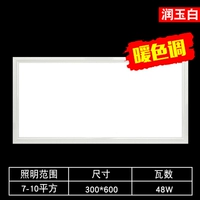 Runyu Bai 300 × 600 48 Вт теплый свет