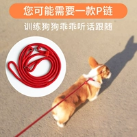 Popo Yita La La Tock Dog Dog Chain Pet Tingle Nylon P Chain Dog Dog веревка НЕТ НЕОБХОДИМЫ