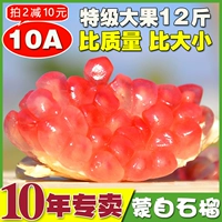 [Пятно] 10a Специальные фрукты Юньнан Менгзи гранат 12 -фунтитериат 12 -футовый подарочный короб