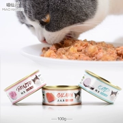 皮 猫 cá biển sâu mèo đóng hộp thức ăn ướt cá hồi cá chép mèo ăn nhẹ 100g có thể