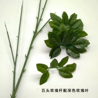 Пятигласный розовый стержень с 20 более темными листьями розы