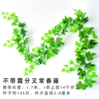 Вилочная плющ (зеленый)