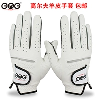 Подлинные Gog Golf Gloves Indonesia Импортировали ягнят против Slip Sports Men Lever и Right Hands Бесплатная доставка