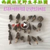 Товары от jianghonghong8888