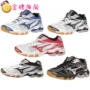 Gold Sea Mizuno Mizuno Wave Bolt 6 Giày bóng chuyền nam và nữ chuyên nghiệp Giày thể thao trong nhà giày tập gym nam