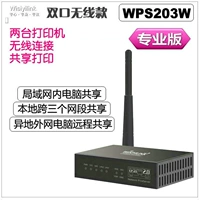 WPS203W Professional Edition (только печать)