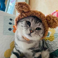 Симпатичный брюк-средний (3-15 кот)