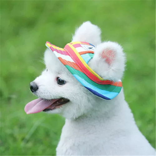 Собачья шляпа выставлена ​​уши, чистая ткань, дышащий кот, кошка, кошки и собачья шляпа, Принцесса Шляпа Петушки для кошачьей шляпы