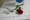 Cần bán trưng bày hoa nhựa nhân tạo trang trí hoa giả hoa hồng lớn gói duy nhất - Hoa nhân tạo / Cây / Trái cây
