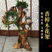 Bộ sưu tập Root Art Xiangmu Wood Root Khung Khung Toàn bộ Gỗ Khắc Sàn tự nhiên Cơ sở Nhà Ban công Khung bonsai - Các món ăn khao khát gốc