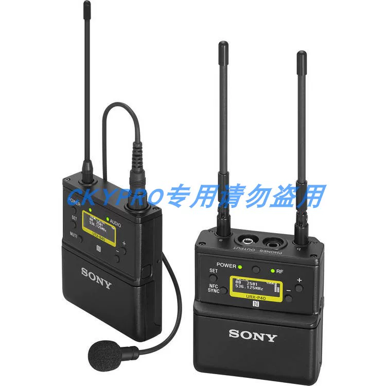 Sony, камера, беспроводной видеокамера, микрофон, D21, пчела, D11