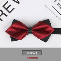 ZLJ1021