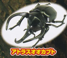 TAKARA TOMY Подлинный Gacha ~ Лес насекомых ~ Внезапная малайзийская легион ~ Жук ~ Мантis японское издание Пятно