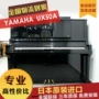 昌 piano Đàn piano trung cổ đã qua sử dụng của Nhật Bản Yamaha YAMAHA UX50A UX-50A chơi tại nhà - dương cầm casio cdp 100