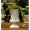 Hoa gốm thịt nồi đất sét bình hoa châu Âu retro đồ đá hoa cổ điển Victoria chậu trong chậu - Vase / Bồn hoa & Kệ chậu đất nung trồng cây