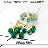 Три измерения сушеных цветов зеленые (10 цветов) (10)