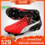 Mận nhỏ: truy cập chính hãng PUMA Hummer evoPOWER 1.3 Giày bóng đá FG 103581-03 giày thể thao adidas nam