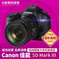 Canon Canon 5D Mrak III body full máy ảnh DSLR 5D3 24-105 - SLR kỹ thuật số chuyên nghiệp máy chụp ảnh canon