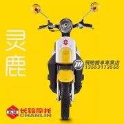 Changchun Suzuki Linglu năm chiếc xe máy mô tô retro xe tay ga takeaway xe giả ánh sáng cưỡi Suzuka - mortorcycles